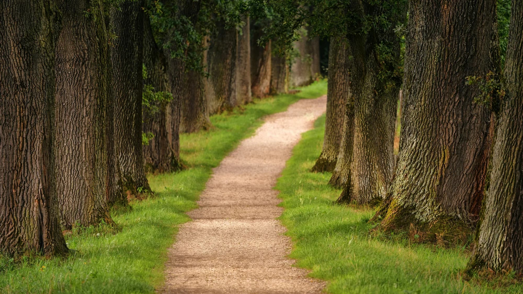 Citizenship Pathways
